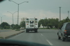 DSC_6307.JPG